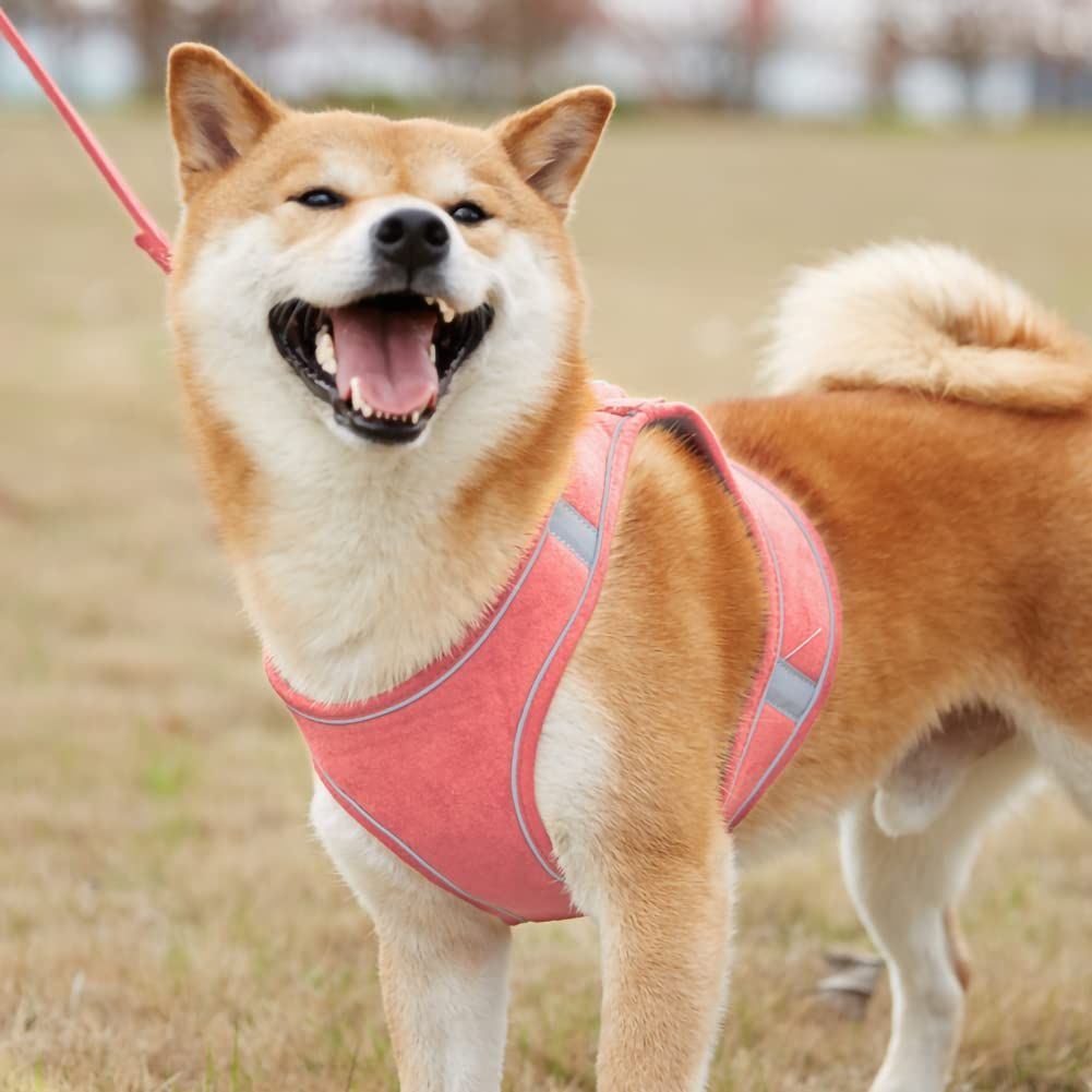  反射光ストリップ付き 調節 胴輪 お散歩 猫 お外出 犬 着脱簡単 小型犬 ペット用ハーネス＆リードセット 中型犬 PET 大型犬 スエード ピンク KUVEELA M ハーネス ウインドサーフィン