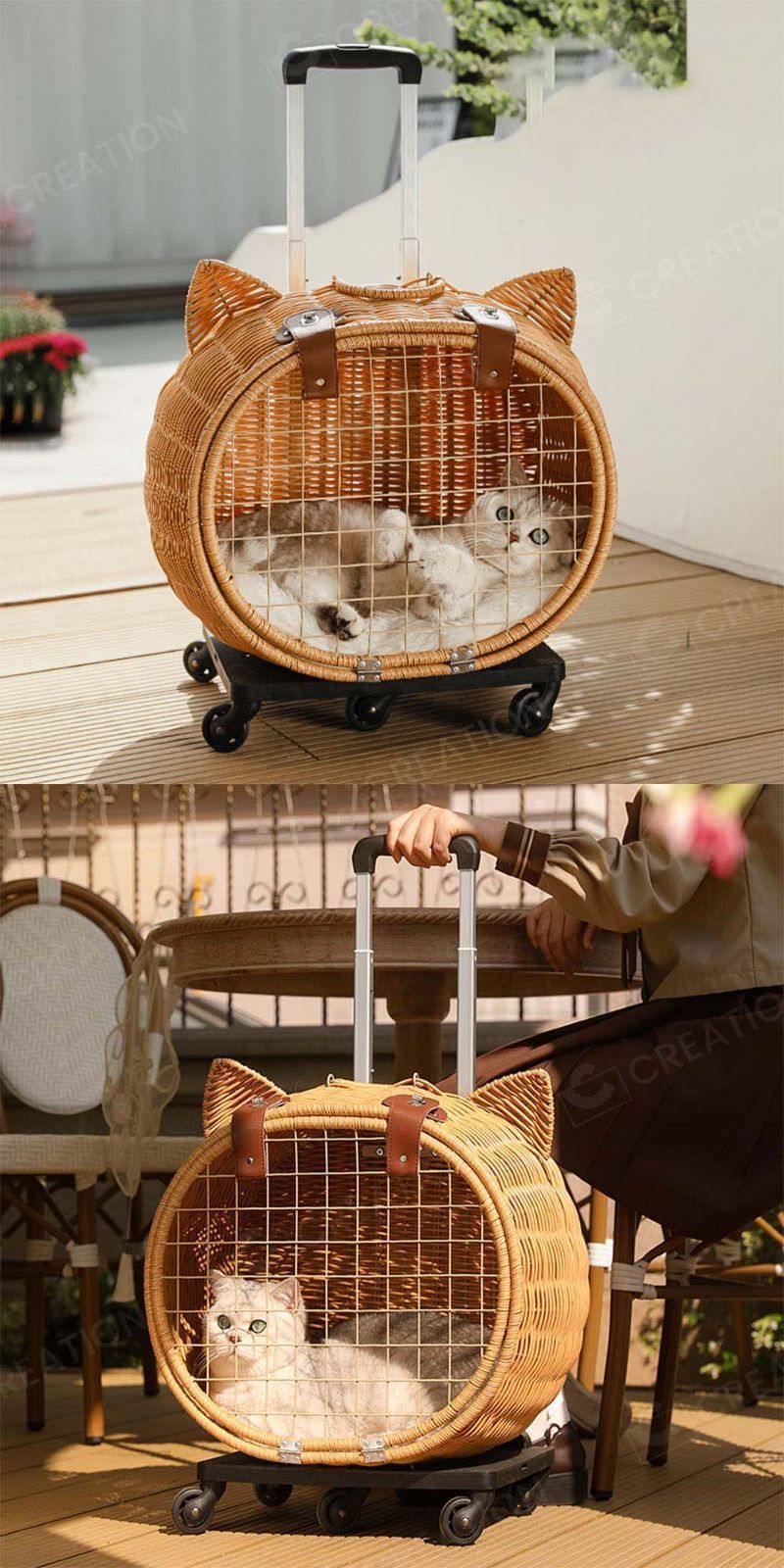 ケージとカート 小型犬