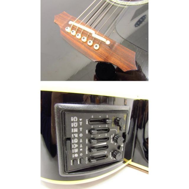 TAKAMINE TDP051C SAS エレアコ 専用ハードケース付！ TAKAMINE 下ら TDP051C SAS エレアコ 専用ハードケース付！