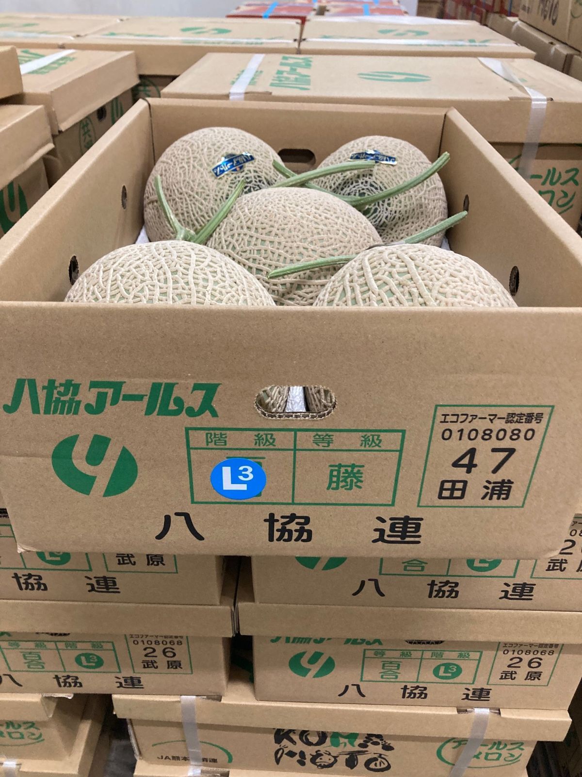 熊本県産
