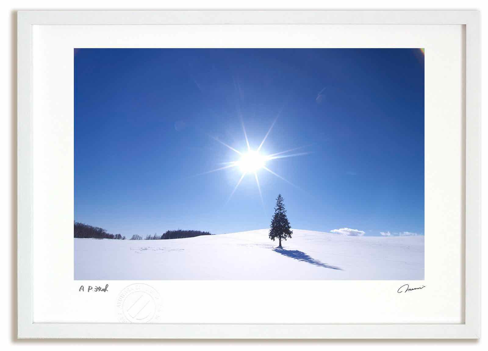 アートフォト 絵画 ツリーの木と太陽4 高橋真澄|インテリア 額入り 額装込 風景画 油絵 ポスター アート アートパネル リビング 玄関 プレゼント モダン アートフレーム 飾る Mサイズ おしゃれ 壁掛け 絵