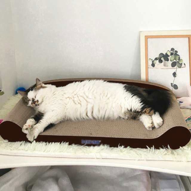 キャット 猫用品