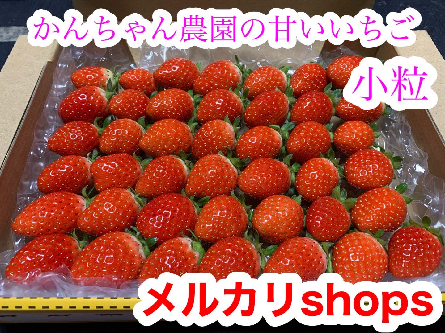 新鮮朝採り！産地直送 小粒いちご