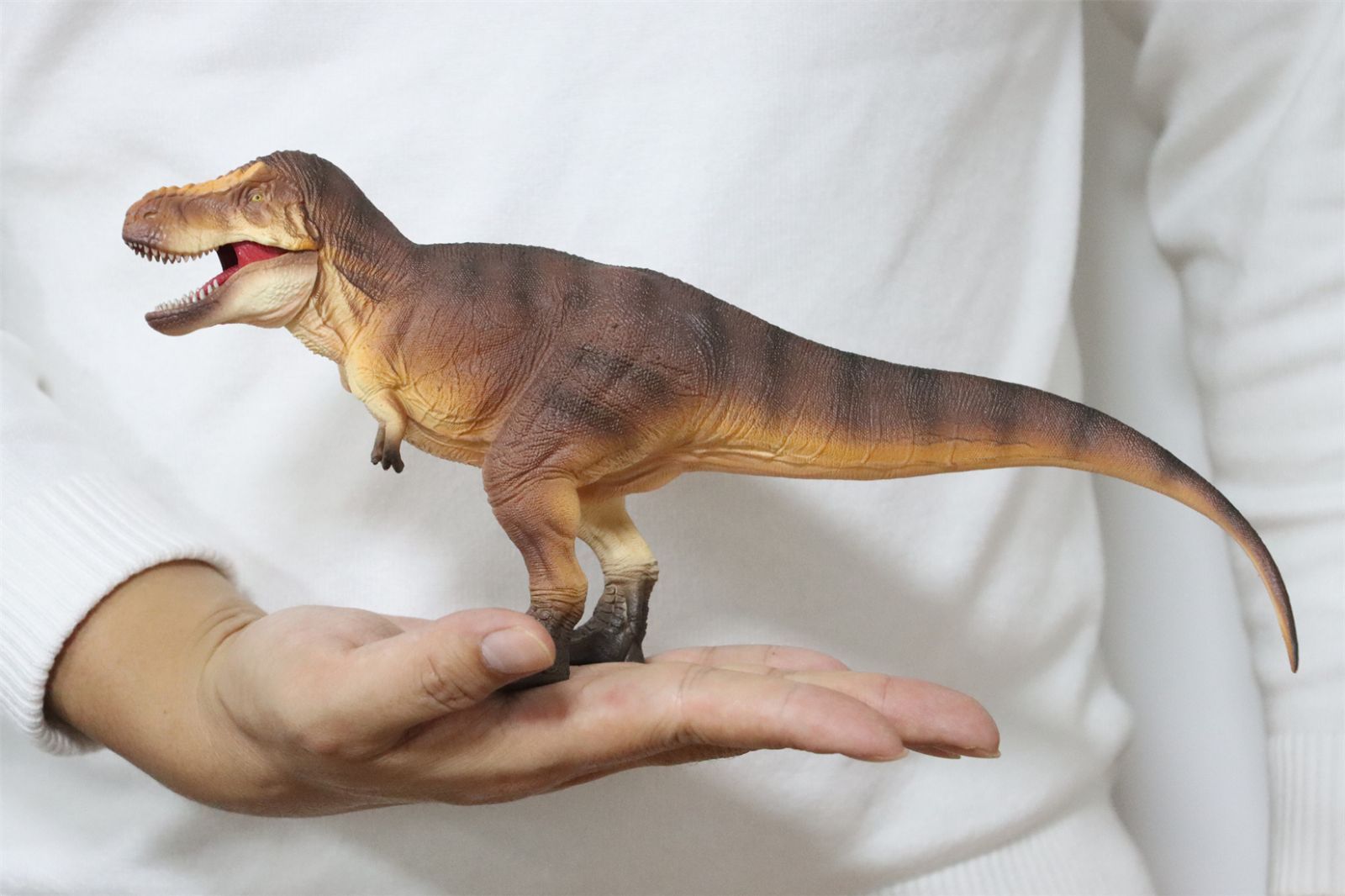 Eofauna 1/35 サイズ ティラノサウルス T-REX 恐竜フィギュア Amazon | BACALYSO |Eofauna 1/35 サイズ ティラノサウルス T