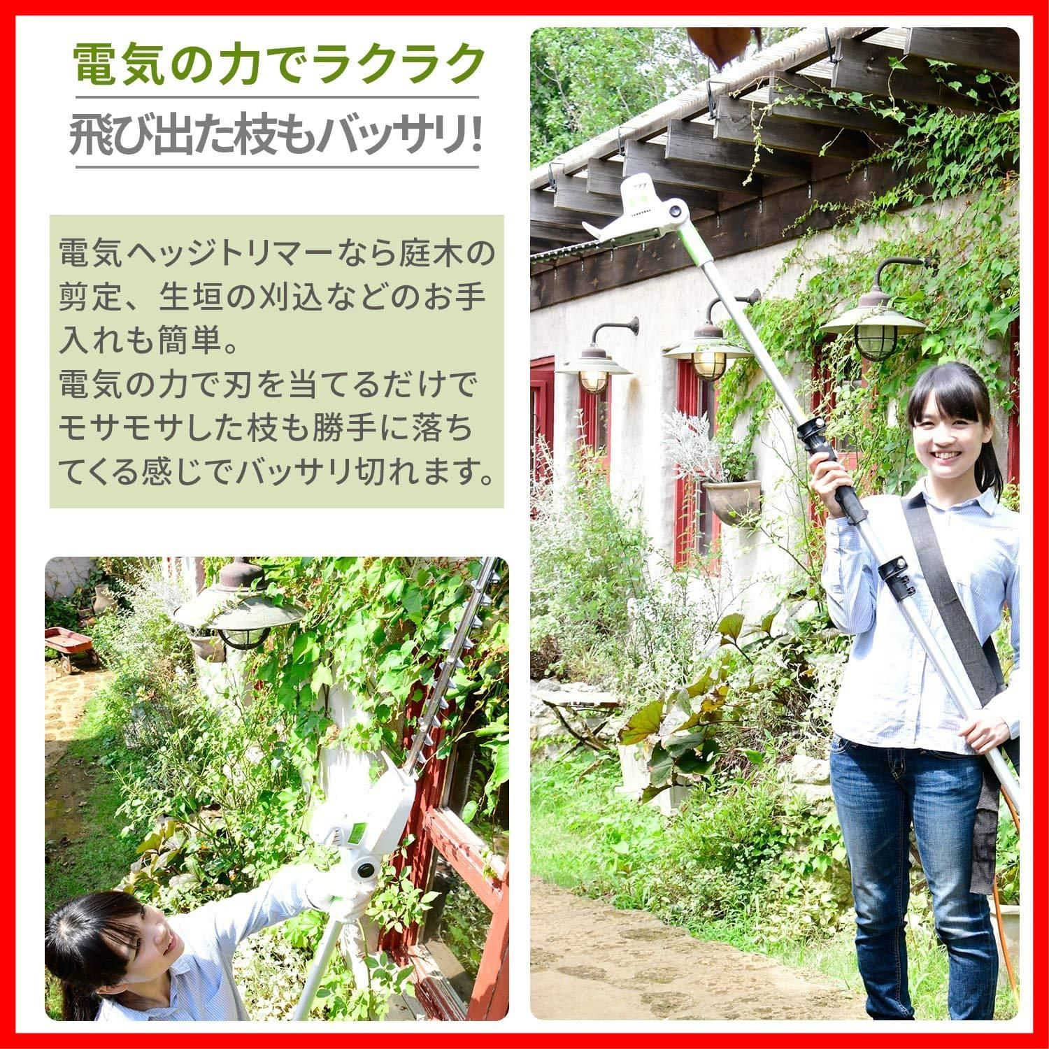 高枝チェーンソー 剪定