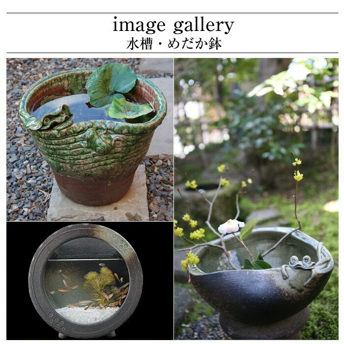 楽天市場】信楽焼 メダカ鉢 陶器 めだか鉢 丸型 睡蓮鉢 大型 水鉢 庭園