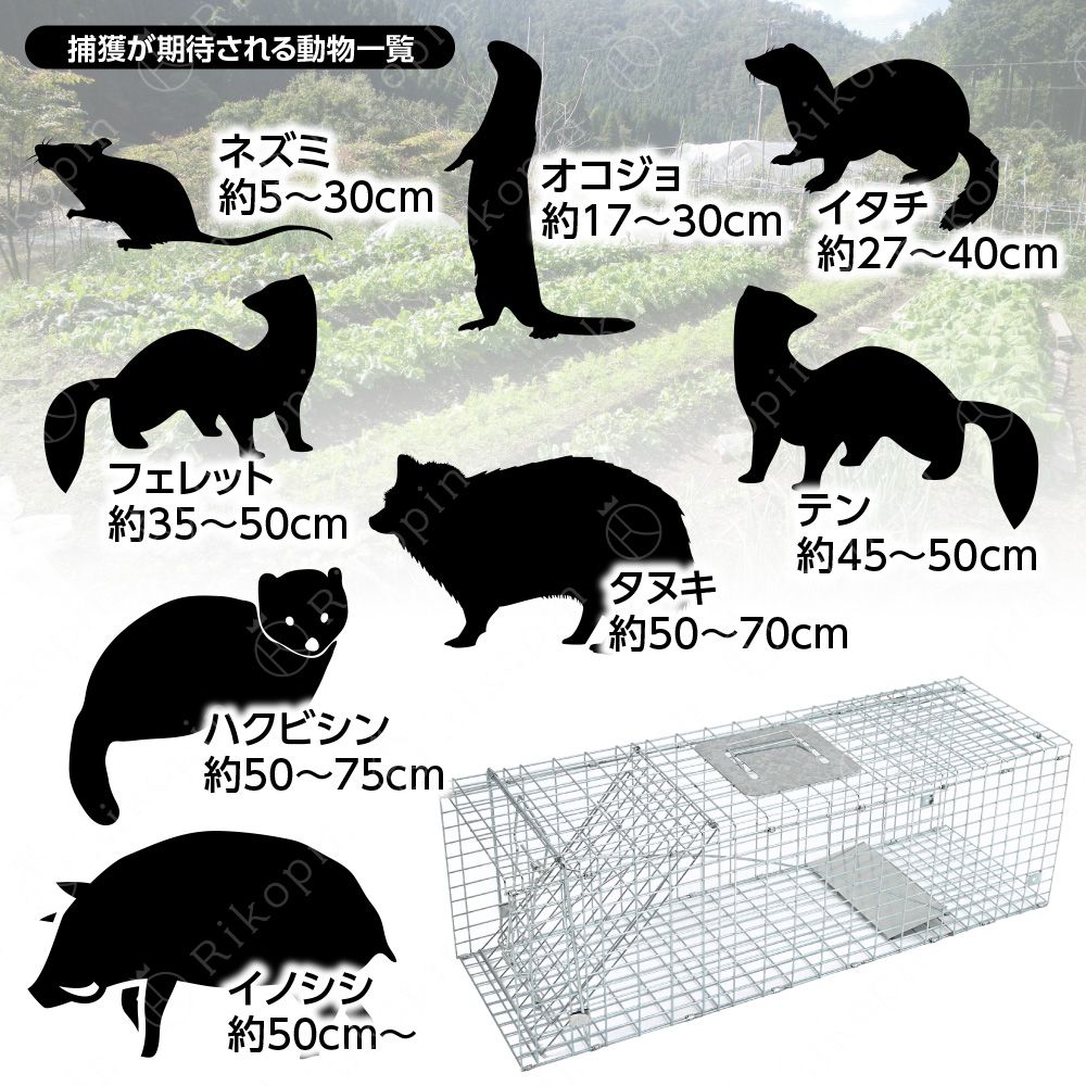 動物捕獲器 動物捕獲檻 猫 アニマルトラップ Mサイズ 66cm×26cm×23cmトラップ 箱罠 イタチ 駆除 捕獲 踏板式 捕獲機 動物 小動物  子猫 罠 鼠 保護 庭 畑 餌 アニマルキャッチャー - メルカリ