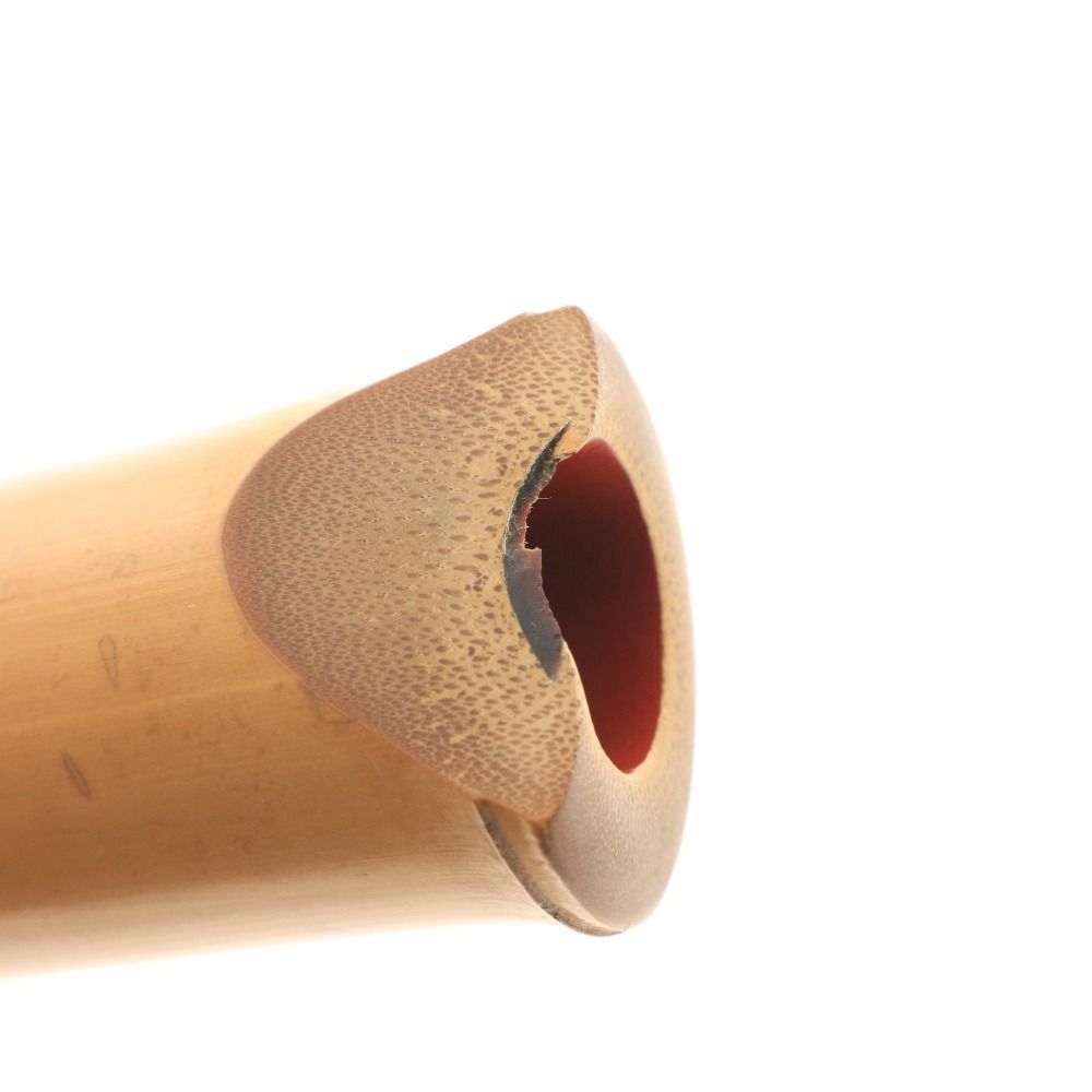 八寸管 琴古流2本