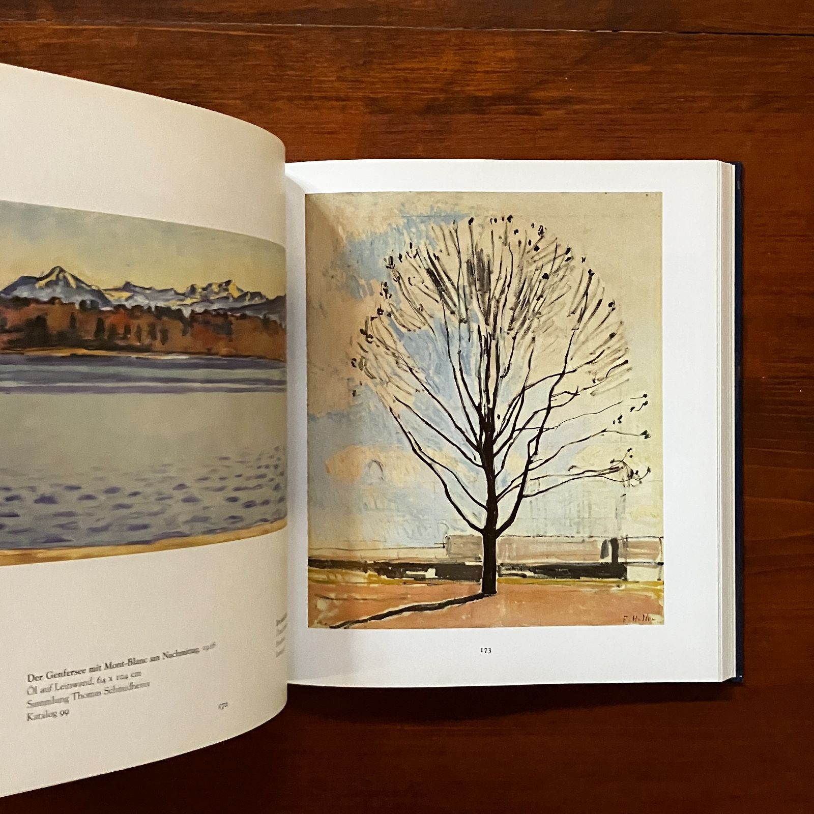 Ferdinand Hodler フェルディナンド・ホドラー ドイツ語画集