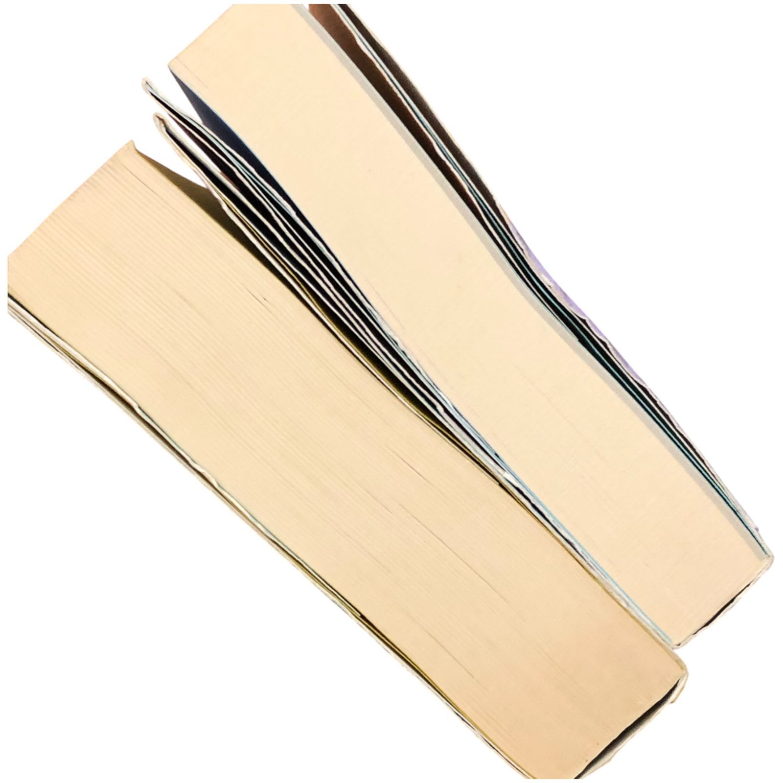 タルコフスキー日記?&? 殉教録 2冊セット アンドレイ