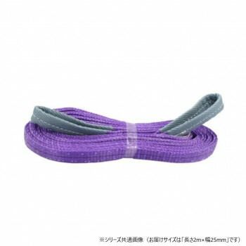 ベスト アンサー 10本セット ナイロンスリングベルト 25mm 2m 使用荷重 800kg 01310