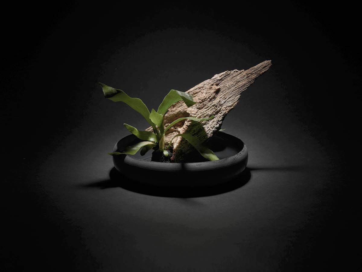 ステンレス製バラ　白黒迷路模様　1輪 ステンレス製バラ 白黒迷路模様 1輪 34ページ目] 商品検索