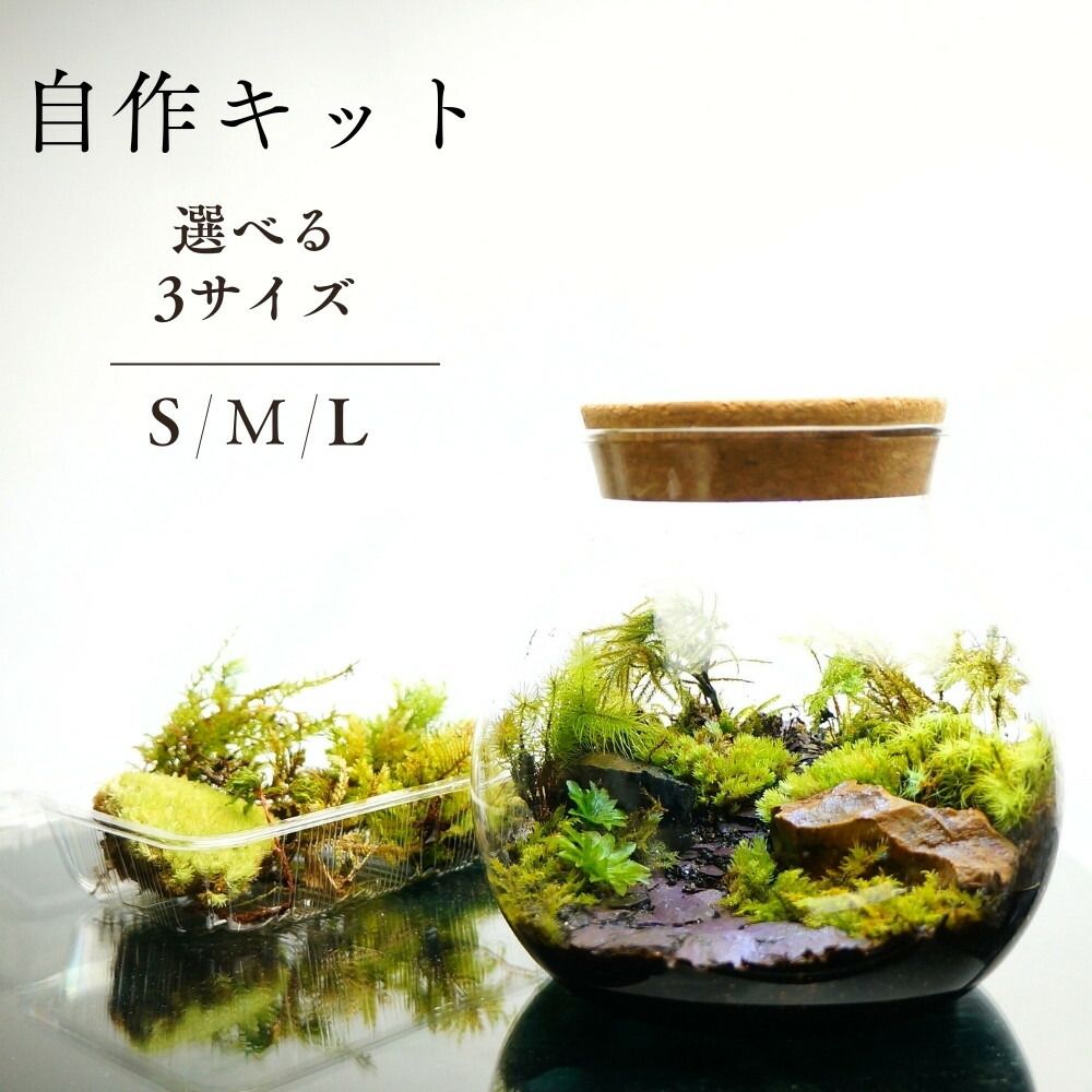 WS 青薔薇の歌姫 湊友希那 sp ars10+ 鑑定書＋ディスプレイ(おまけ)