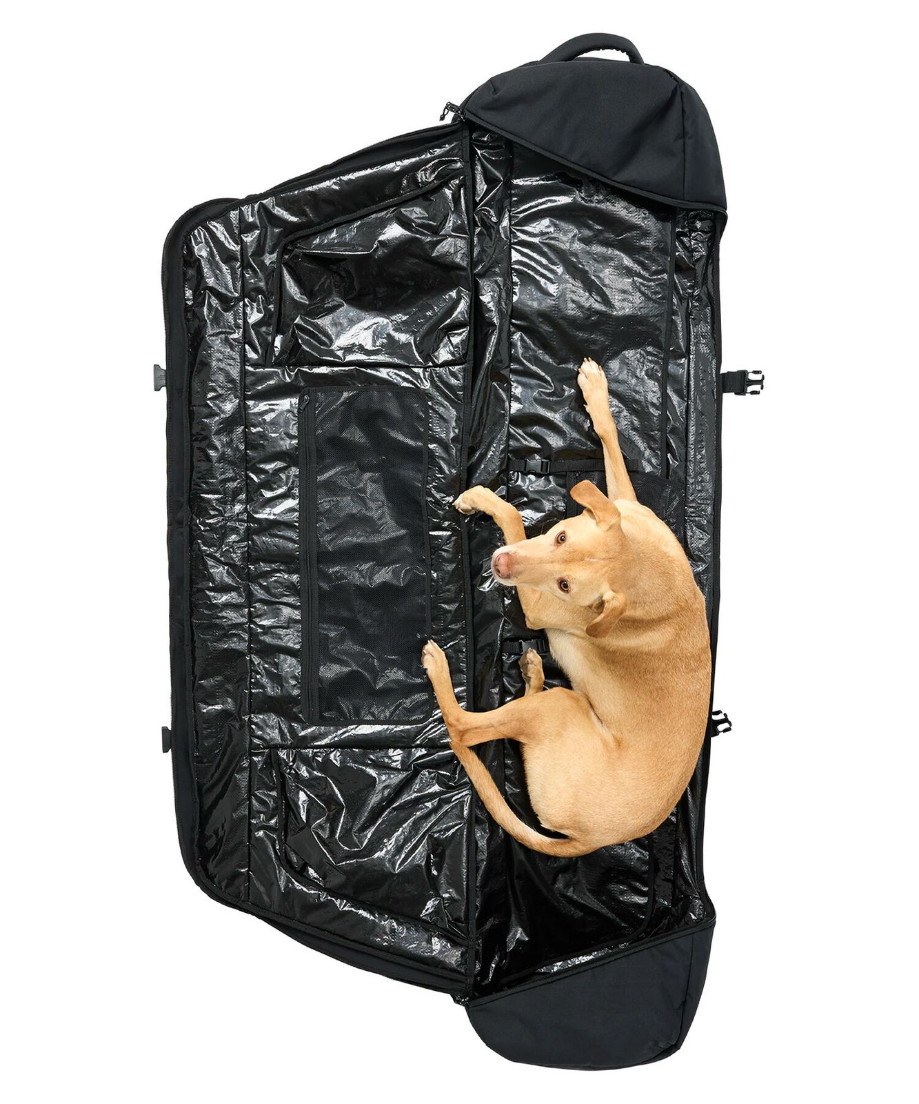 Burtonスノーボード FL project ボードケース付 ムラスポ公式】新品 BURTON バートン スノーボード ボードケース