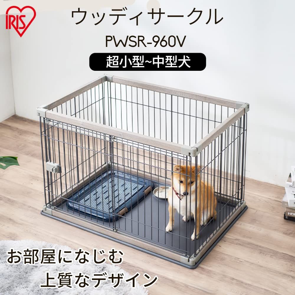 犬 サークル