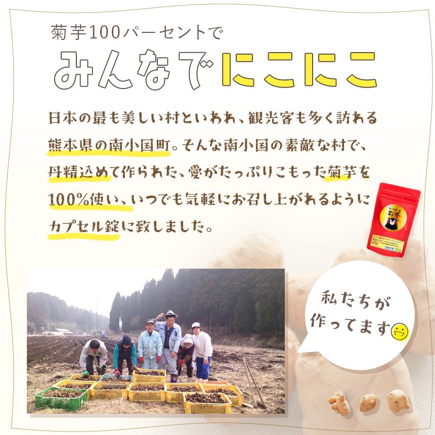 菊芋パウダー
