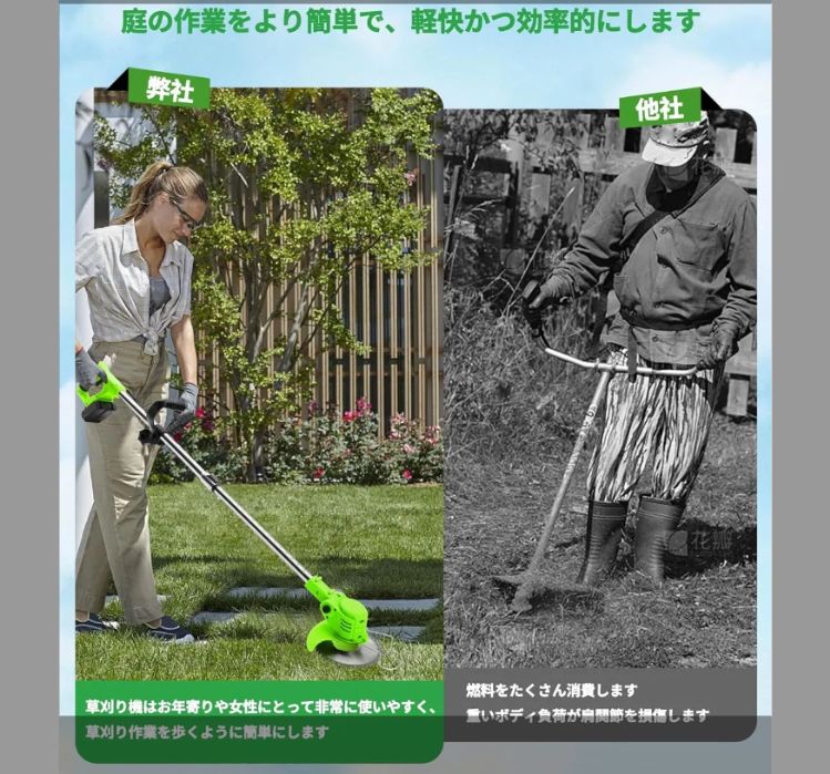雑草 芝生