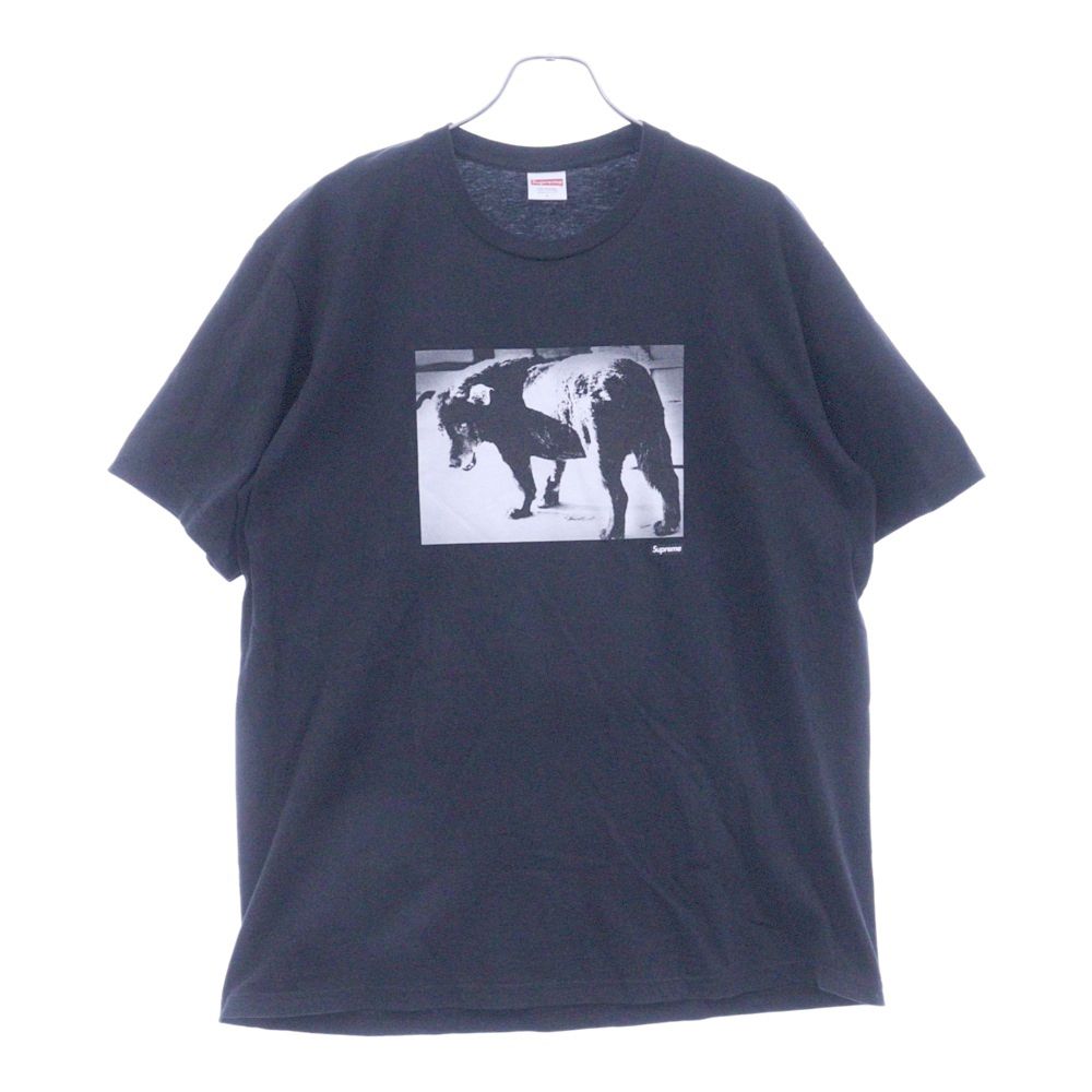 新品 L Young Coco She Knows T-shirt Verdy Verdy Young Coco She Knows tee XXL Coco - Seize Your Moment