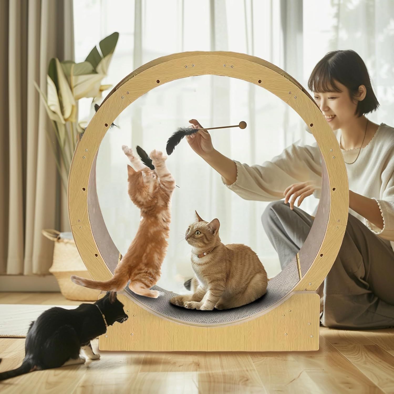 爪研ぎ 猫