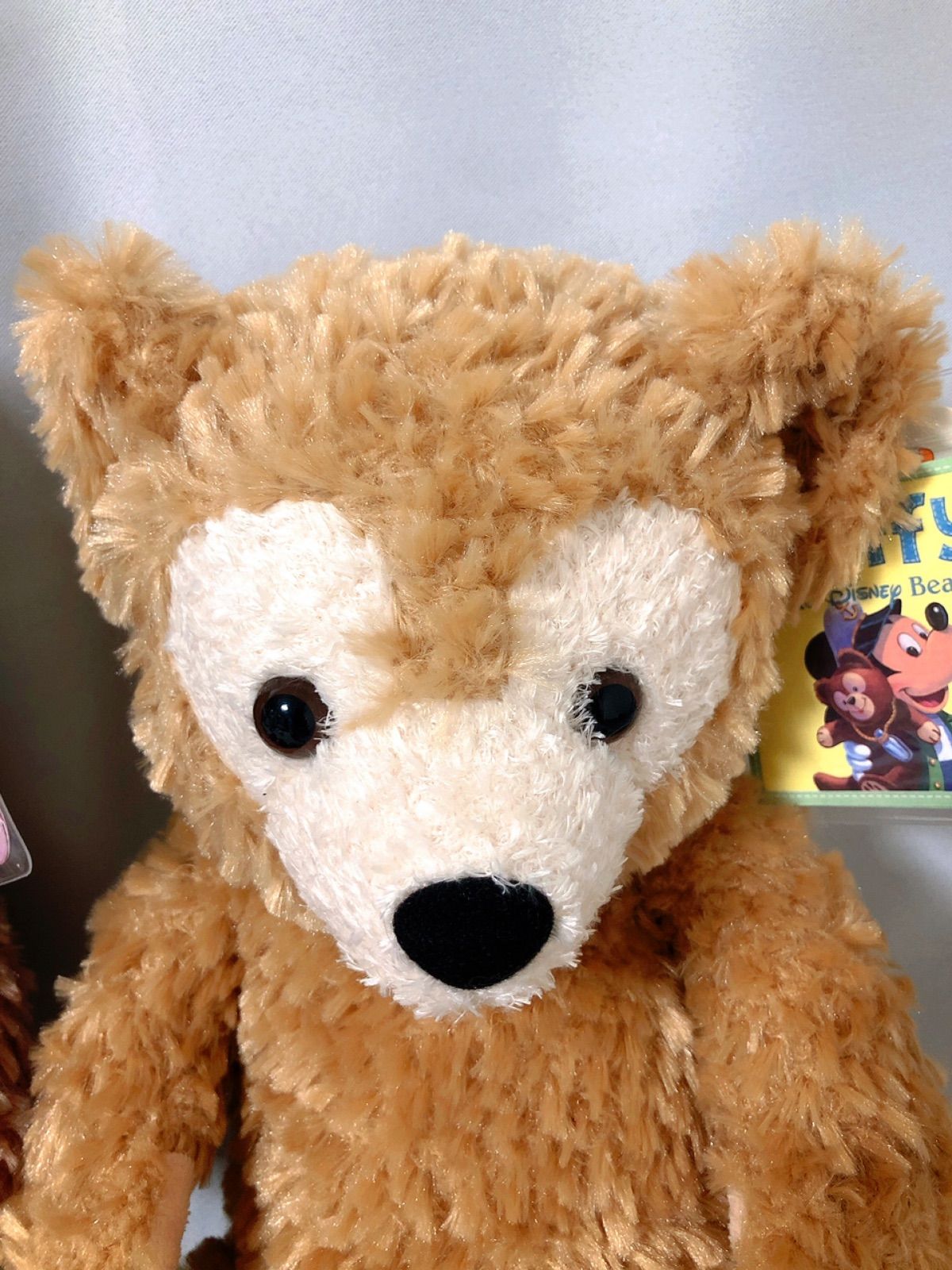 新品 タグ付き ダッフィー＆シェリーメイ ぬいぐるみ ディズニー