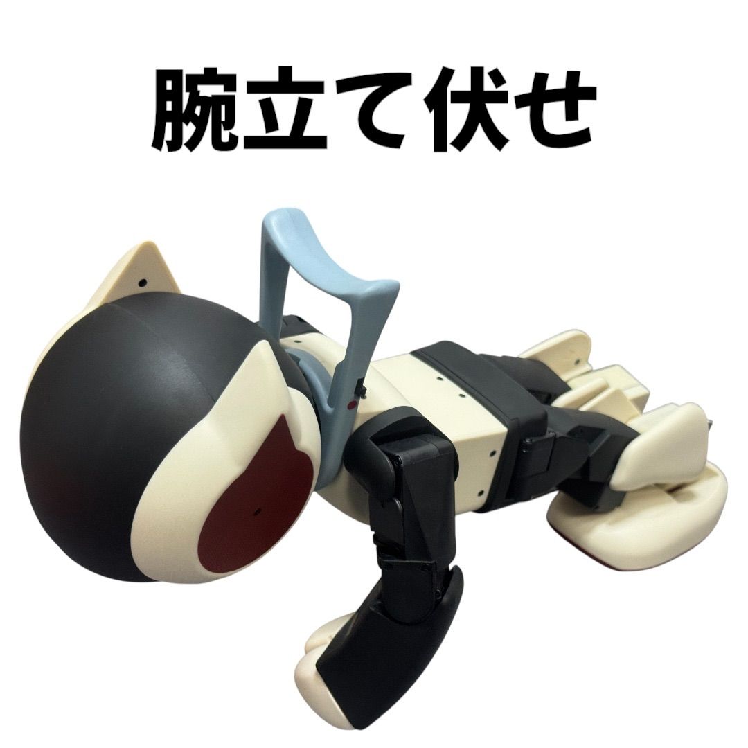 【美品】Robi ロビ 組立代行バージョン 完成品 専用ケース付き 71E9ZiLX1XL._UF894,1000_QL80_.jpg