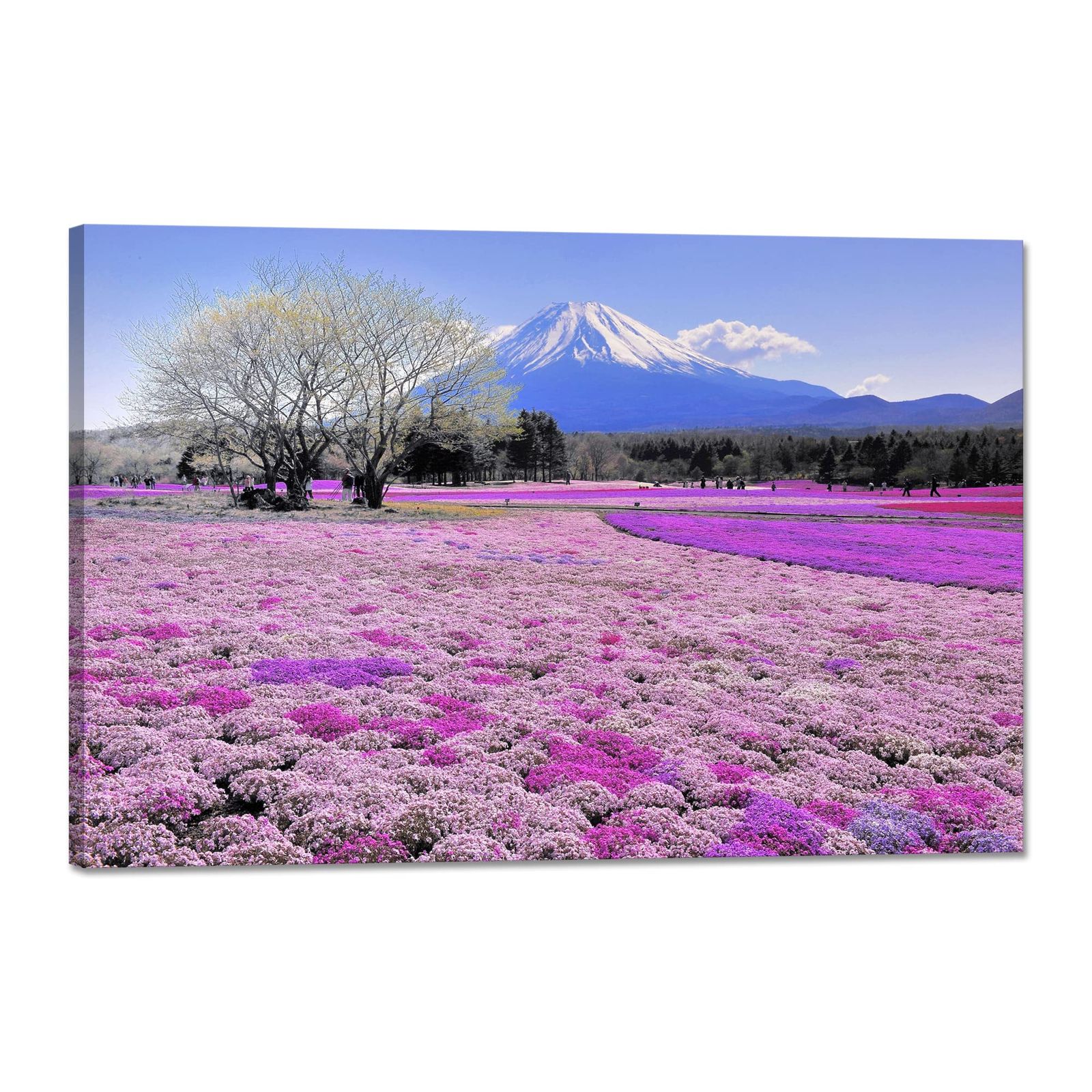 迅速発送】ポスター 風景 自然 大型 モダンアート 壁掛け 風景画