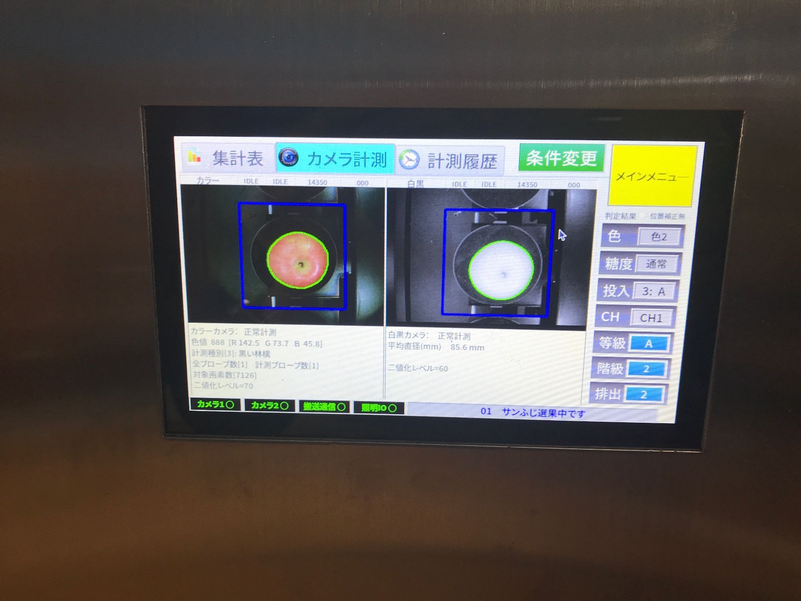 約10kg