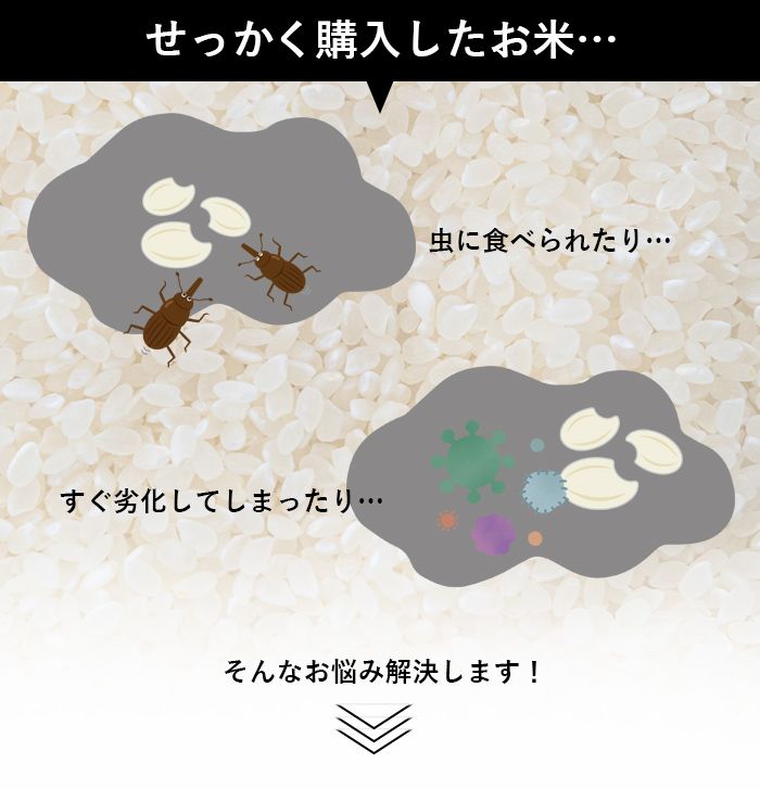 ライスストッカー 大容量