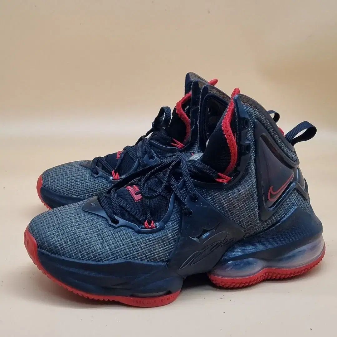  NIKE(ナイキ) レブロン 19 バスケットシューズ 245_ シューズ(男性用)