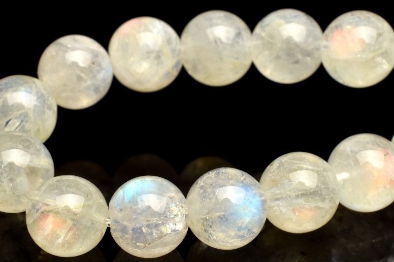 専用 谷田貝 赤花銀冠玉錦 かき仔 はたく様専用 谷田貝 赤花銀