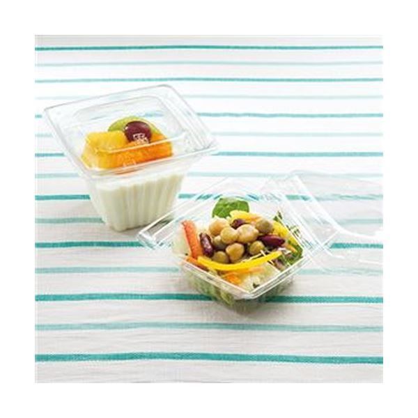 まとめ 中央化学 C APドルチェ 100 65身