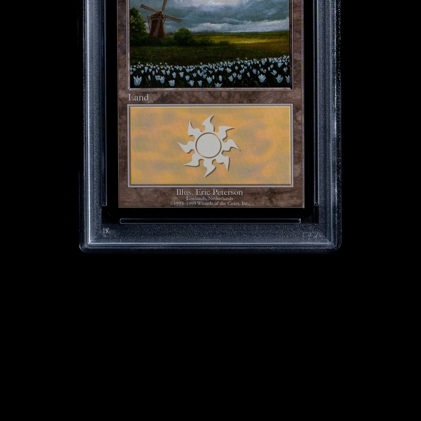 PSA10】 MTG 平地/Plains オランダ/Netherlands《英語》 - メルカリ