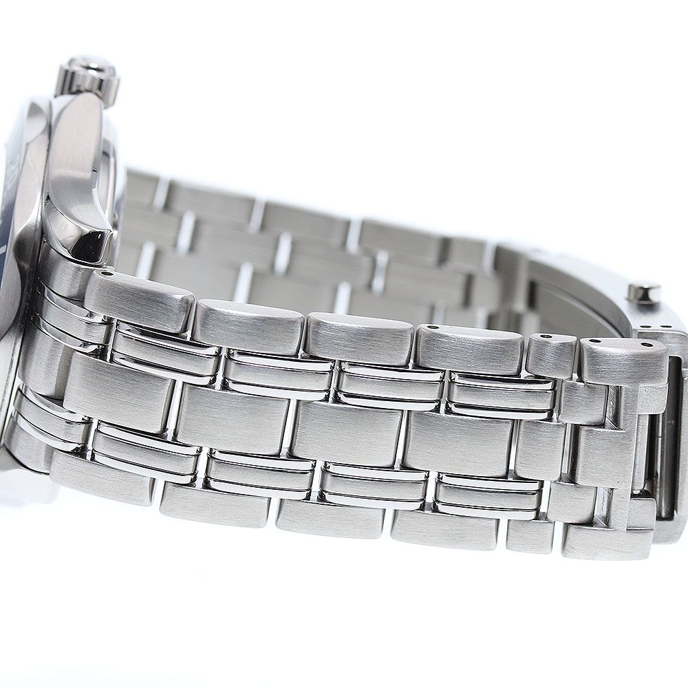 サザンカ 山茶花 盆栽 13号陶器鉢つき 特大❗ サザンカ 山茶花 盆栽 13