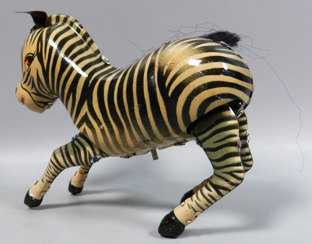 Zebra
