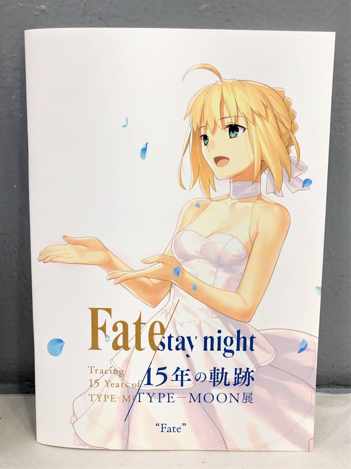 ロマニ·アーキマン クリアカード 武内崇 中谷 マシュ 武内崇 Fate ART WORKS A4 クリアファイル ゲーマーズ メイド