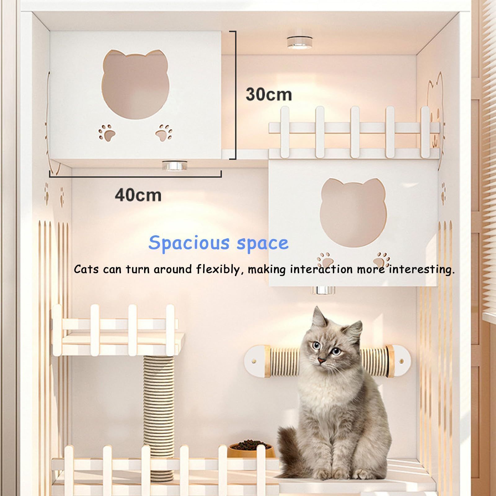2段 猫