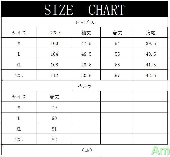 入学式 パンツスーツ ママ レディース セットアップ ジャケット 上下 2点セット 洗える 大きいサイズ フォーマル 結婚式 パーティー セレモニー 面接 卒業式 就活 ママ 春 秋 min USTAUSTRALIA_COM_AU