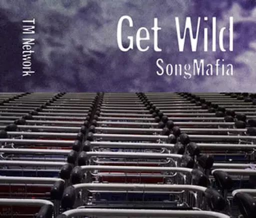 globe Get Wild TK Remix 未開封品 非売品 中古】邦楽CD TM NETWORK / GET WILD Thanks 30th Anniversary