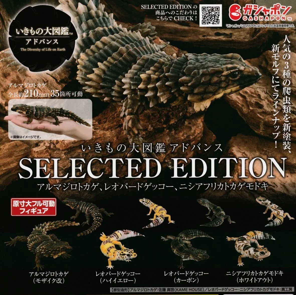 いきもの大図鑑アドバンス SELECTED EDITION [全4種セット フルコンプ] ガチャ カプセルトイ - メルカリ