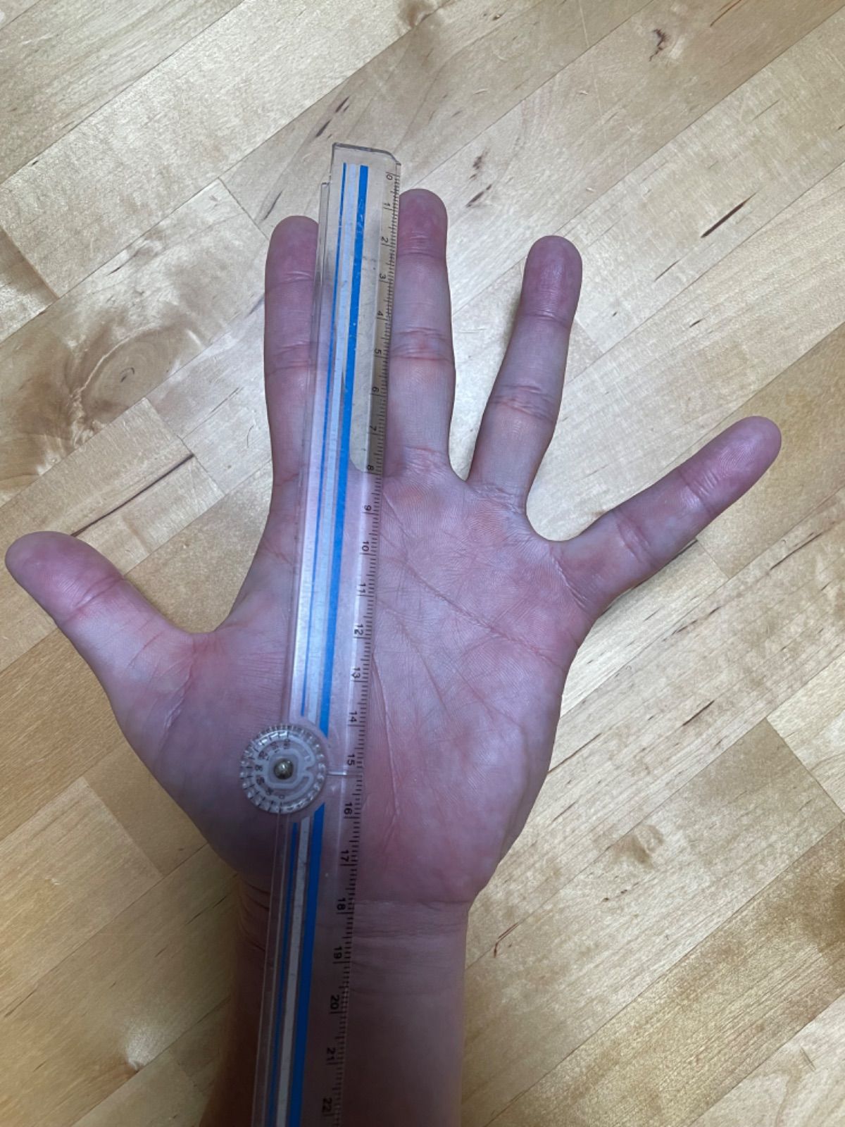 ゴールキーパーグローブ|8号|白 黒