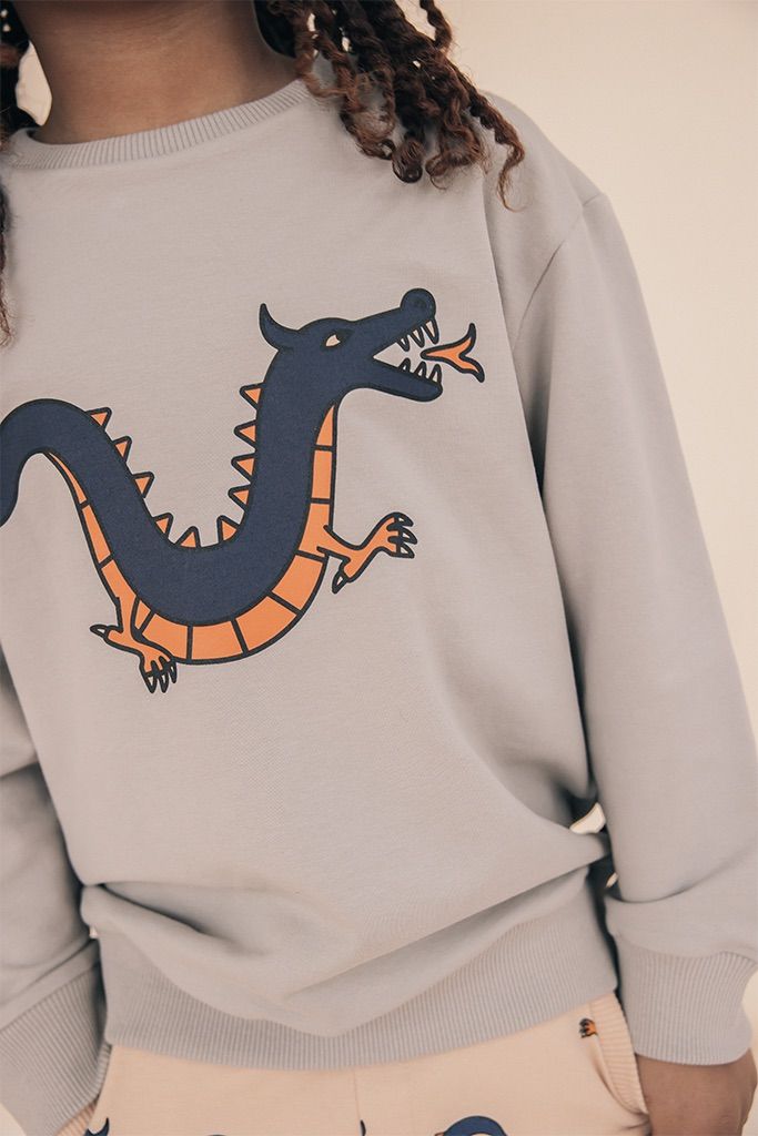 Dragon sweater with print - cecati92.edu.mx