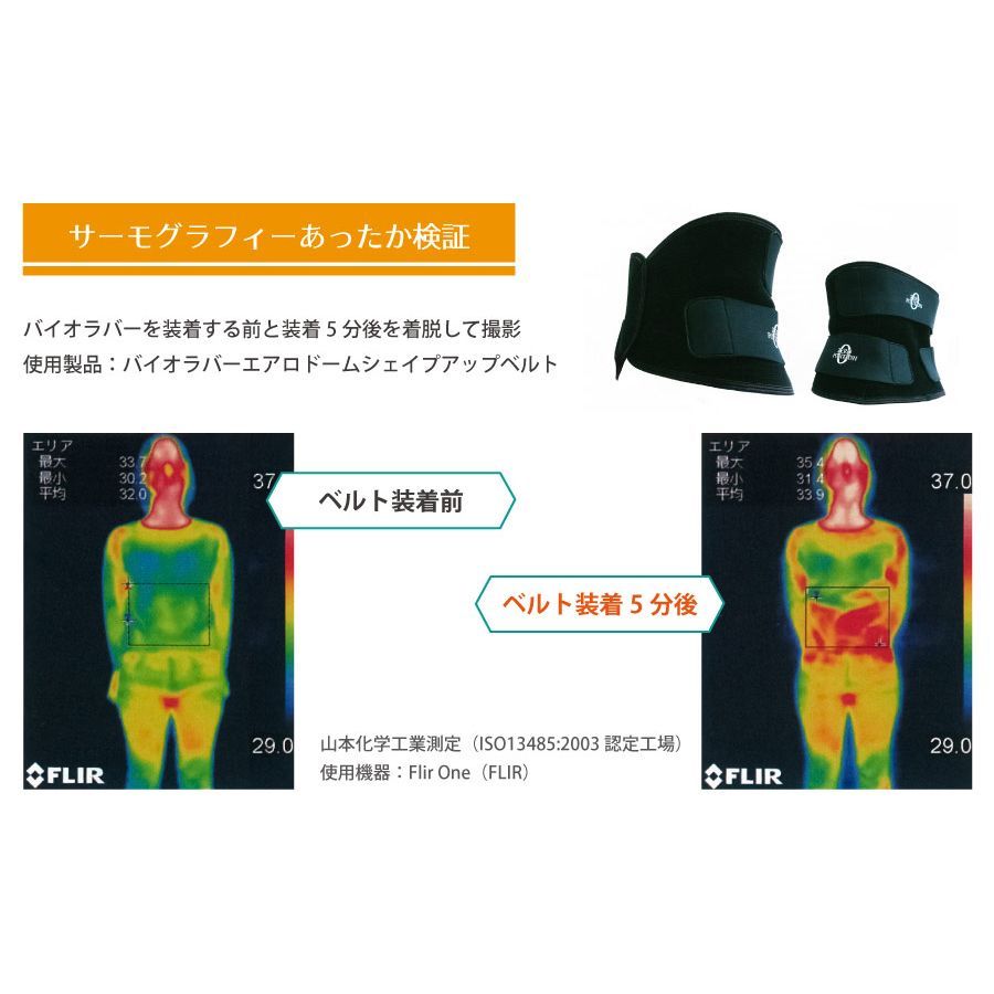 バイオラバーベルト Lサイズ 山本化学工業 バイオラバーベルト Lサイズ