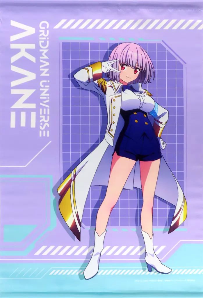 中古】タペストリー 新条アカネ B2タペストリー 「グリッドマン