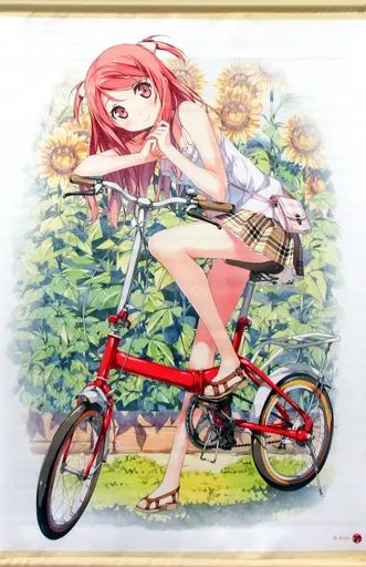 カントク タペストリー 中古】タペストリー サイクリング(カントク) B2タペストリー