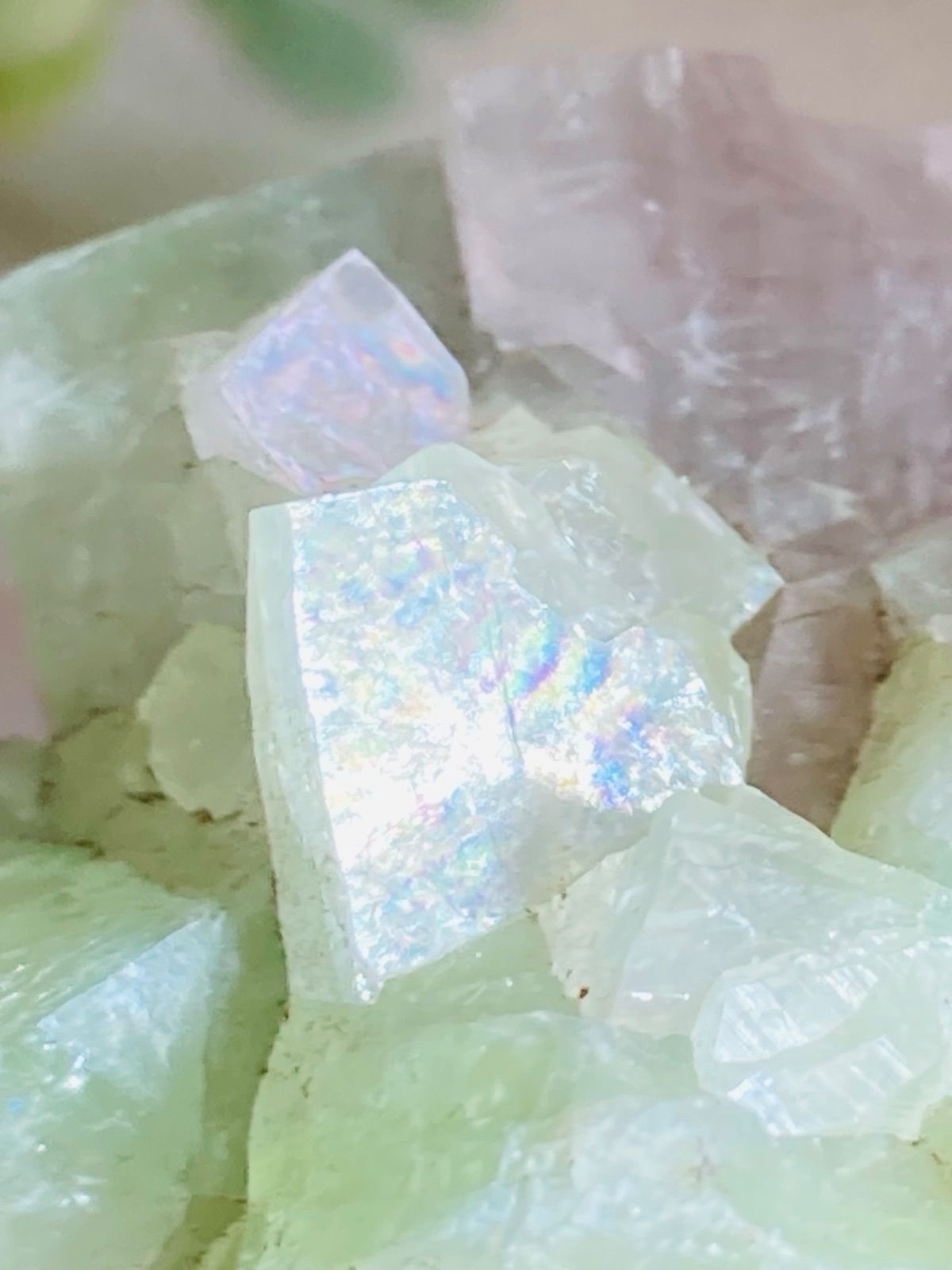 天使の水晶✨ レインボー グリーンアポフィライト 原石 魚眼石