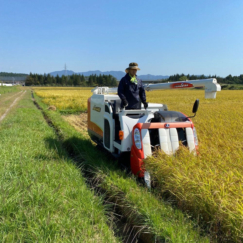 青森県産　白米　水菜土農園（みなとのうえん）　メルカリ　精米　新米　お米　30kg（5kg×6袋）　令和5年産　古代米お試し袋付き　【生活応援価格】米　まっしぐら