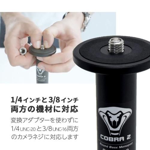 COBRA2 RBM