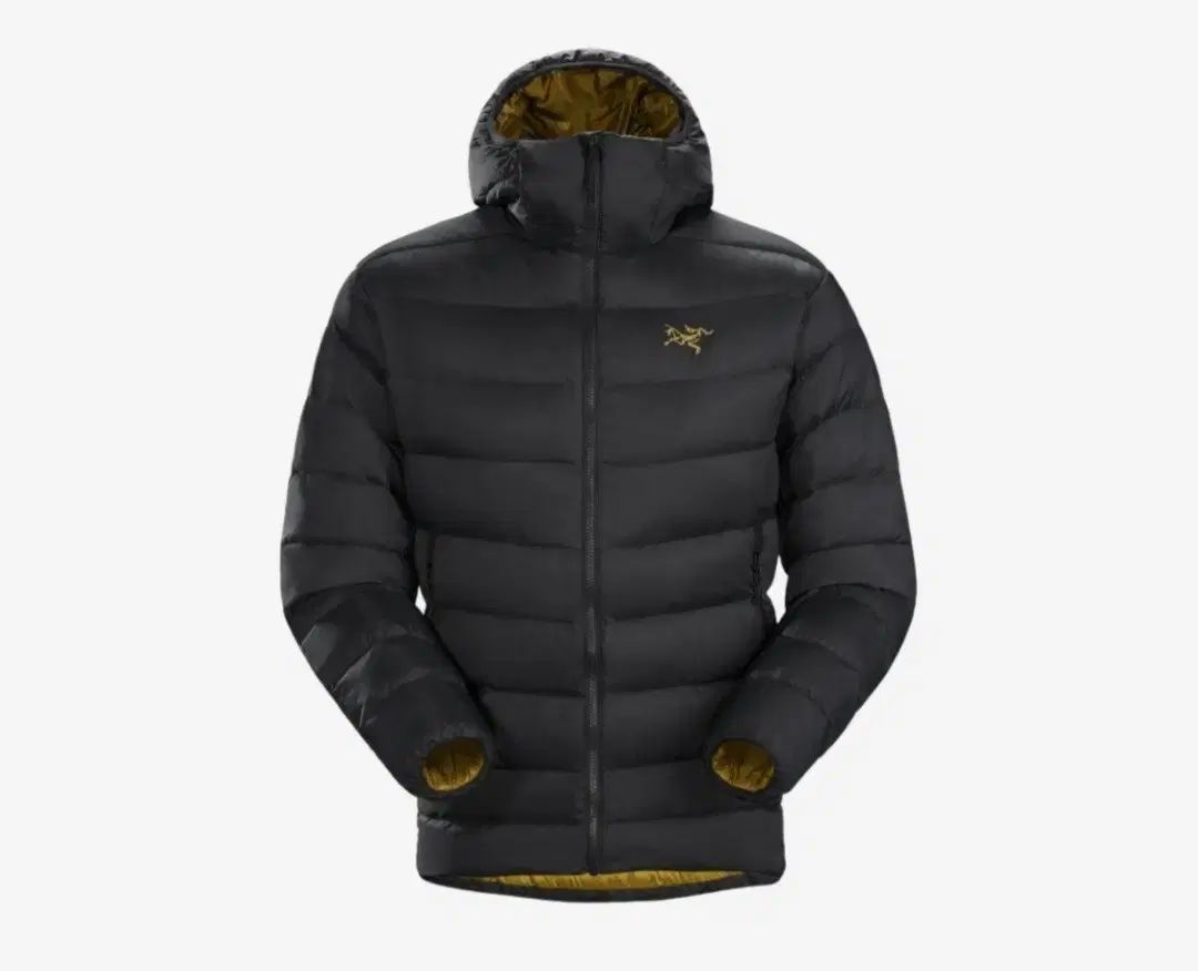 Lサイズ ARC TERYX アークテリクス トーラム AR フーディー 24K ブラック 29926