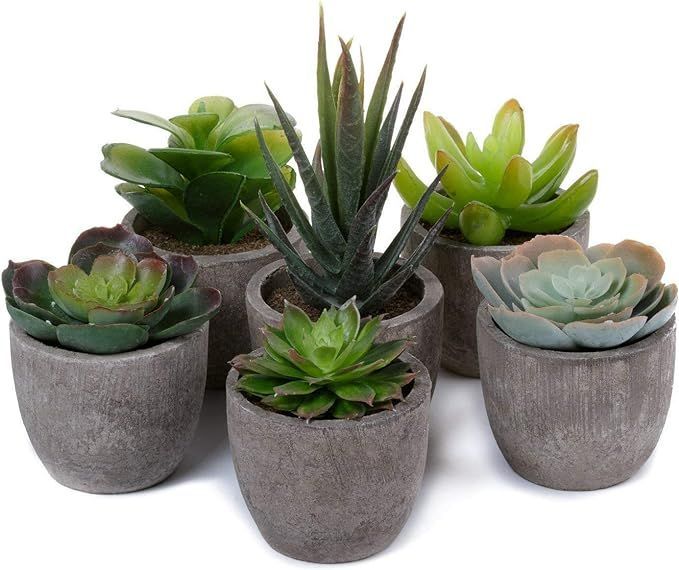 【在庫処分】T4U フェイクグリーン 観葉植物 人工観葉植物 人工多肉植物 造花 インテリア ６点入り お世話不要 プレゼント