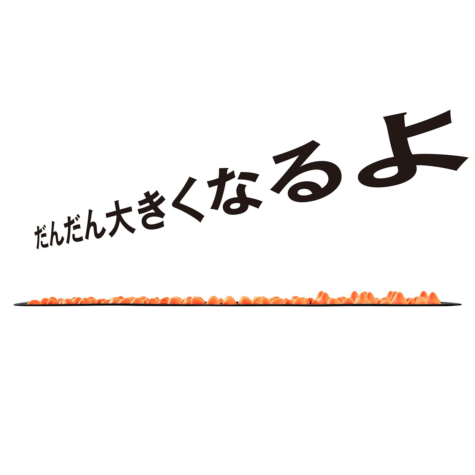 ラヴィ